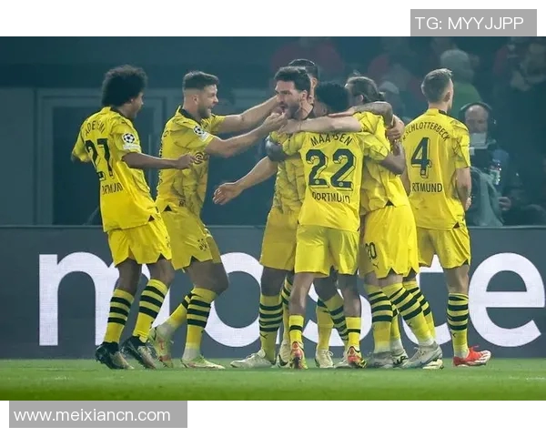 多特蒙德足球明星们的成长之路与辉煌成就解析