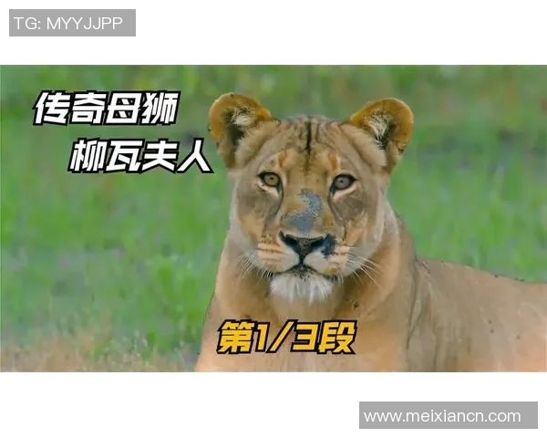 大猩猩化身绿茵巨星演绎力量与速度并存的传奇之路