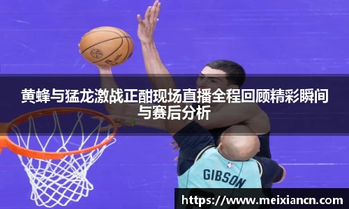 黄蜂与猛龙激战正酣现场直播全程回顾精彩瞬间与赛后分析